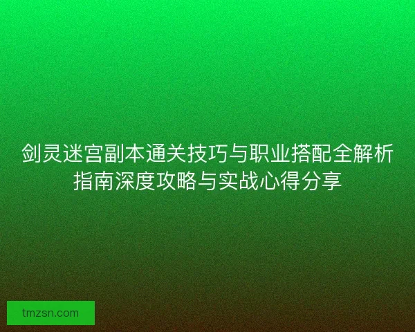 剑灵迷宫副本通关技巧与职业搭配全解析指南深度攻略与实战心得分享
